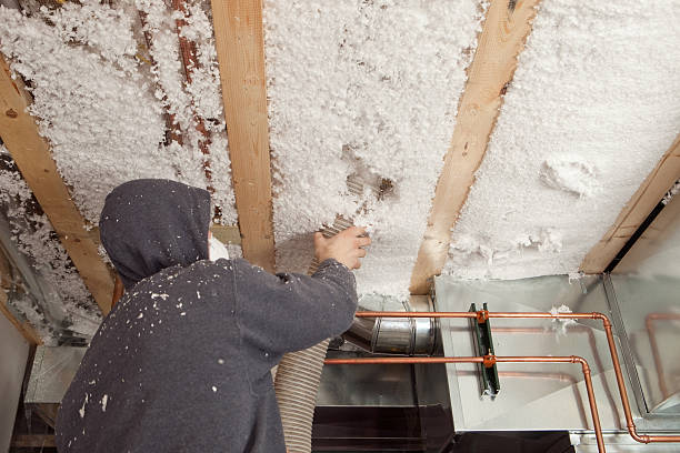 Blown-In Insulation
