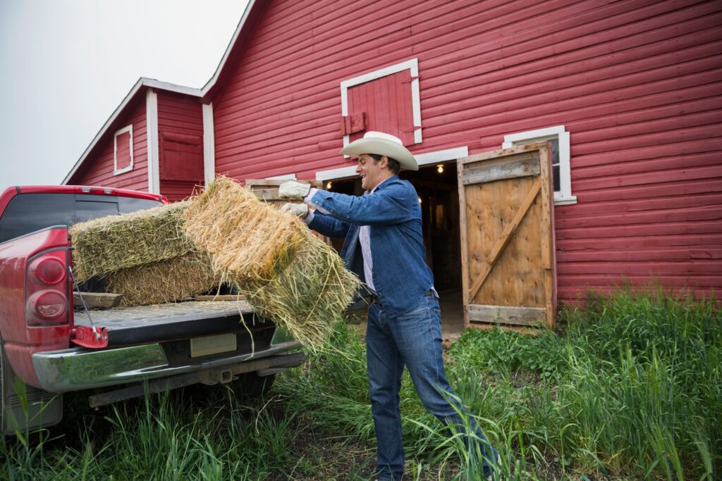 Alabama shed builders