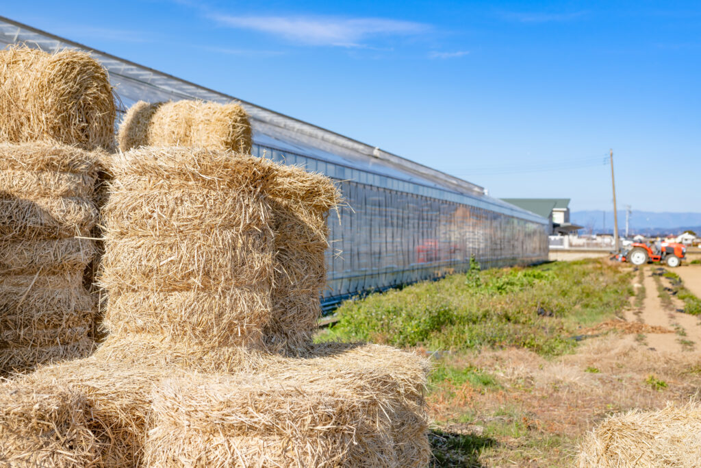 hay storage